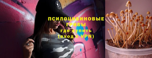 дживик Костерёво
