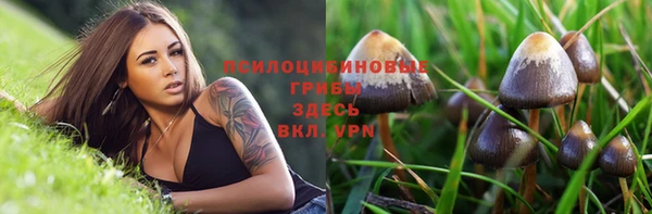 бошки Коряжма