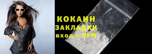 дживик Костерёво
