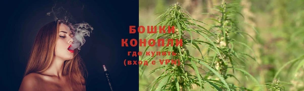 бошки Коряжма
