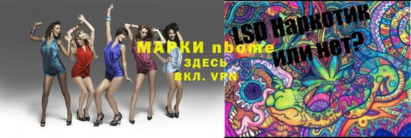 бошки Коряжма