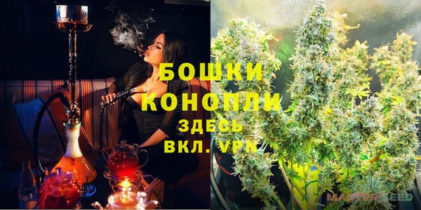 каннабис Корсаков
